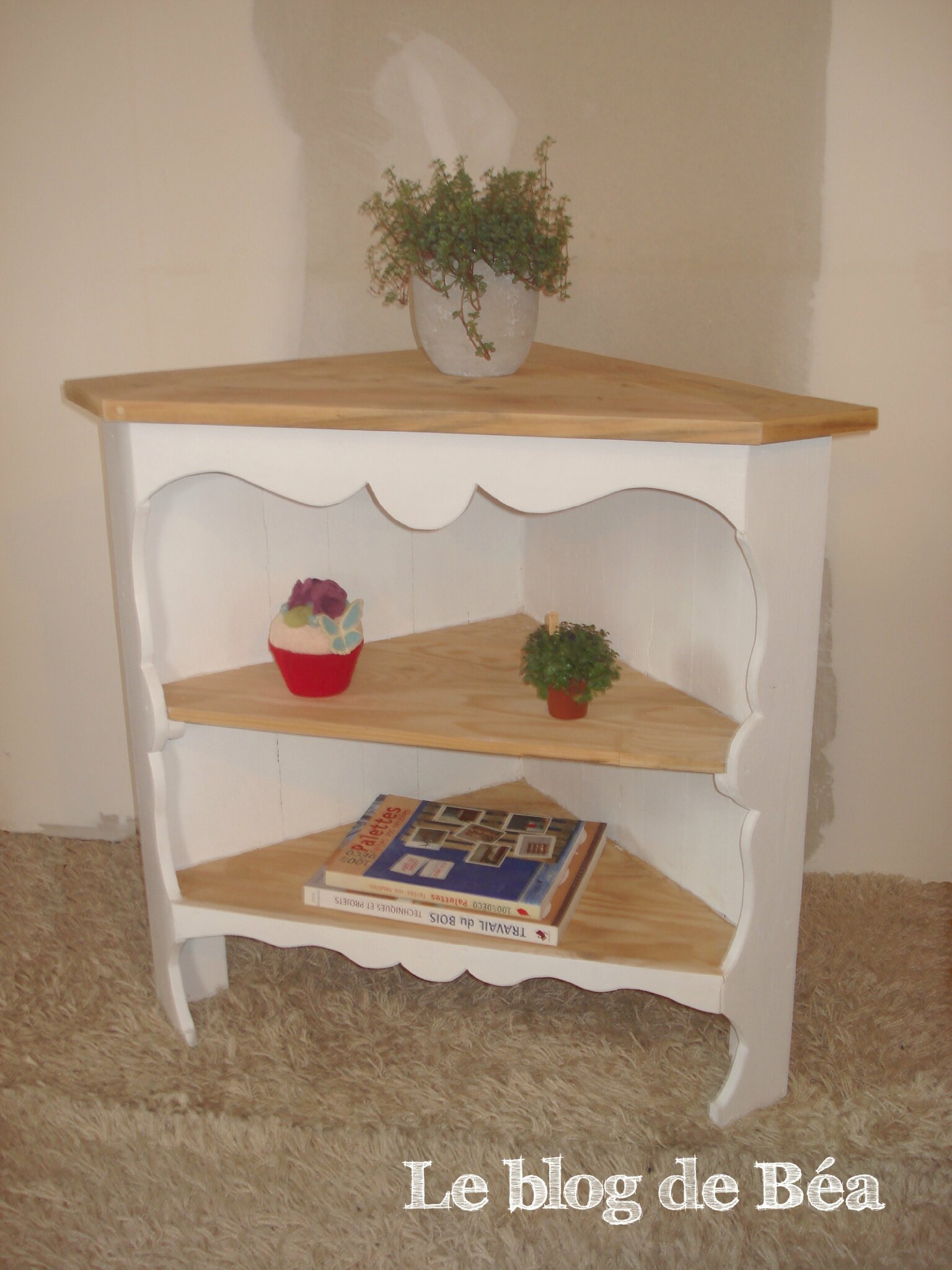 découvrez comment créer des meubles en palettes diy uniques et éco-responsables. transformez des palettes en meubles pratiques et stylés pour votre intérieur ou votre extérieur grâce à nos conseils et idées inspirantes.