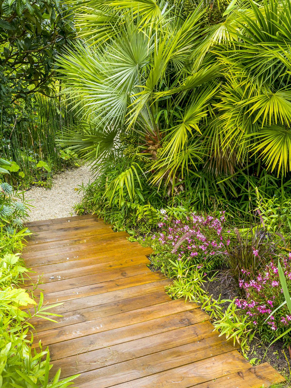 découvrez un jardin tropical luxuriant, un havre de paix où la nature s'épanouit. explorez la biodiversité des plantes exotiques, des cascades et des sentiers sinueux. un éco-paradis pour les amoureux de la nature!