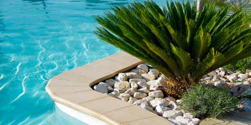 explorez notre jardin tropical, un véritable havre de paix où la biodiversité s'épanouit dans une symphonie de couleurs et de parfums. découvrez la beauté des plantes exotiques, des fleurs vibrantes et des paysages luxuriants, tout en vous évadant dans un environnement zen propice à la détente.