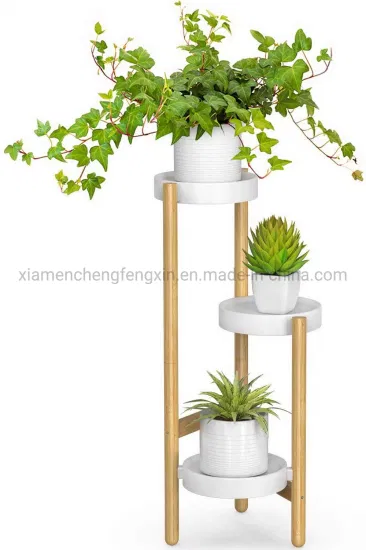 découvrez notre large sélection de supports pour plantes d'intérieur, idéaux pour sublimer votre espace tout en offrant un excellent soutien à vos plantes. que vous recherchiez des étagères modernes, des porte-plantes suspendus ou des supports design, trouvez le style qui correspond à votre décoration et éveillez la verdure chez vous.